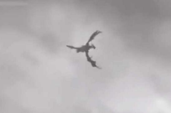 英国上空出现不明生物,拉近镜头后摄像师撒腿就跑