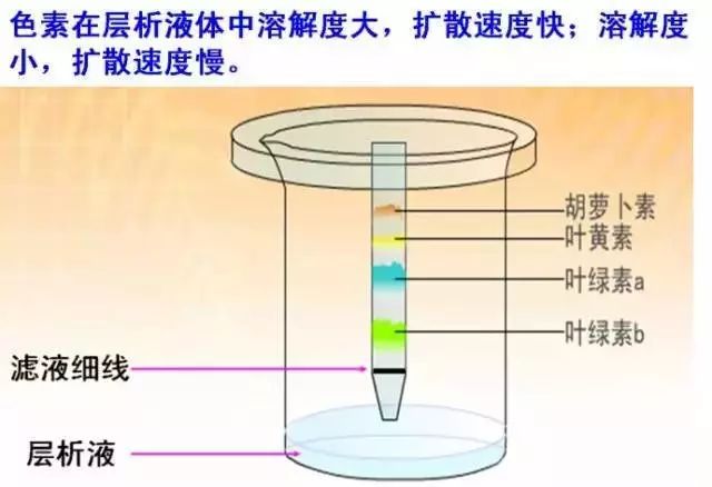 考试前特别想玩什么原理_考试加油图片