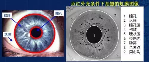 揭秘极棒上海站:两张 a4 纸破解虹膜,人脸识别,他是怎么做到的?