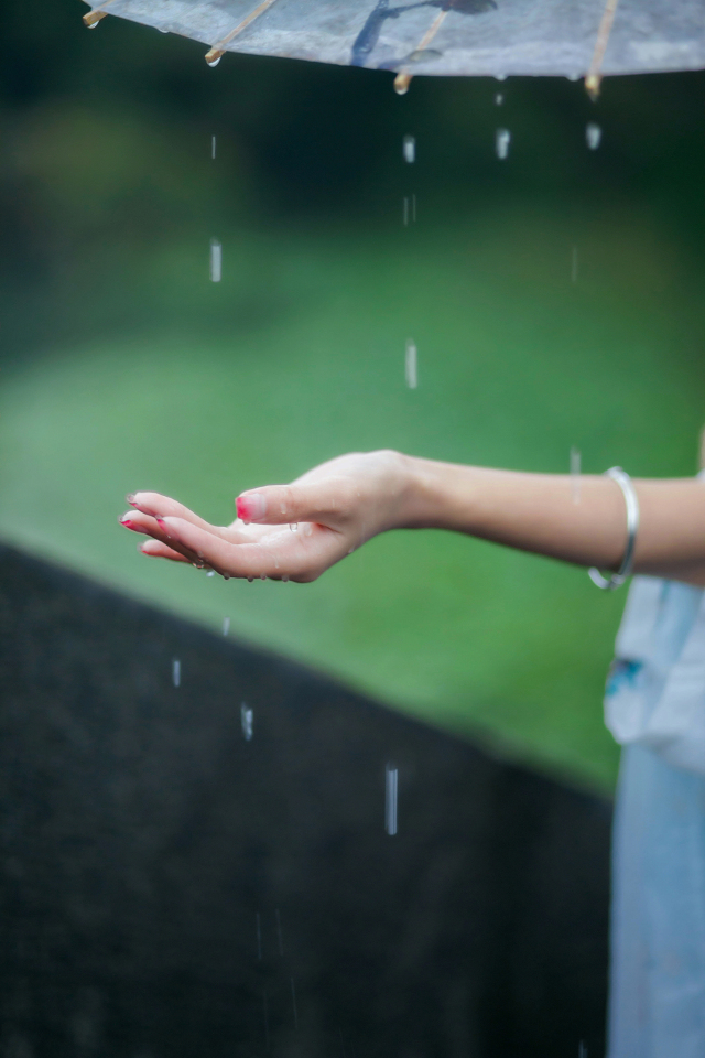 烟雨红尘,浅念一世静好