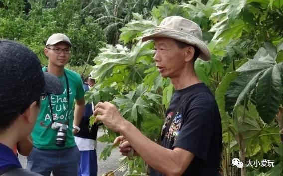 江南体育官网八个精选冬令营拯救你无处安放的寒假（有福利）(图29)