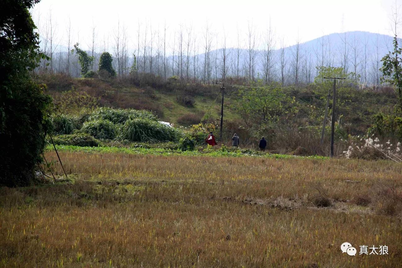 泾县不该被遗忘的古村——昌桥乡的柏山村