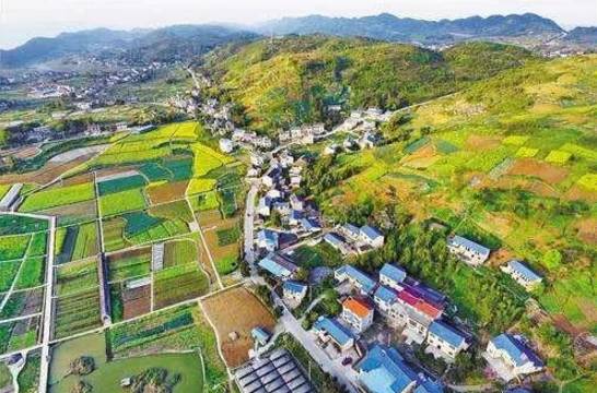 大田建设人口_大田结花