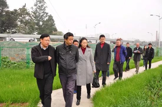 今日简讯 | 成都双流国际机场遭遇大雾天气袭击