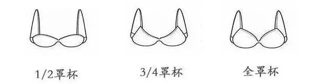 市面上常见的bra有哪几种, 胸大有副乳的可以选择3/4罩杯文胸,有聚拢