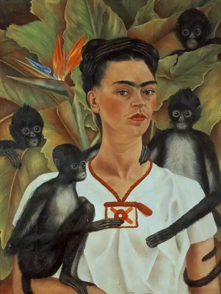 弗里达·卡罗(frida kahlo 1907-1954年),大概是墨西哥最出名的女画家