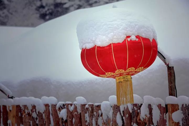 中原雪乡,一场冰雪之旅的终极梦想