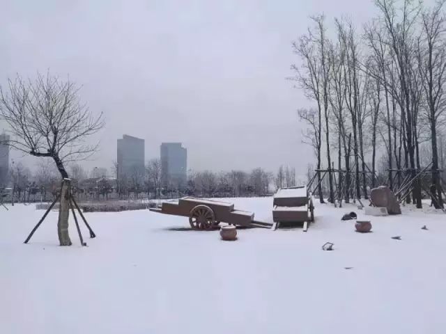 别处都下了.好想看新区的雪景啊!