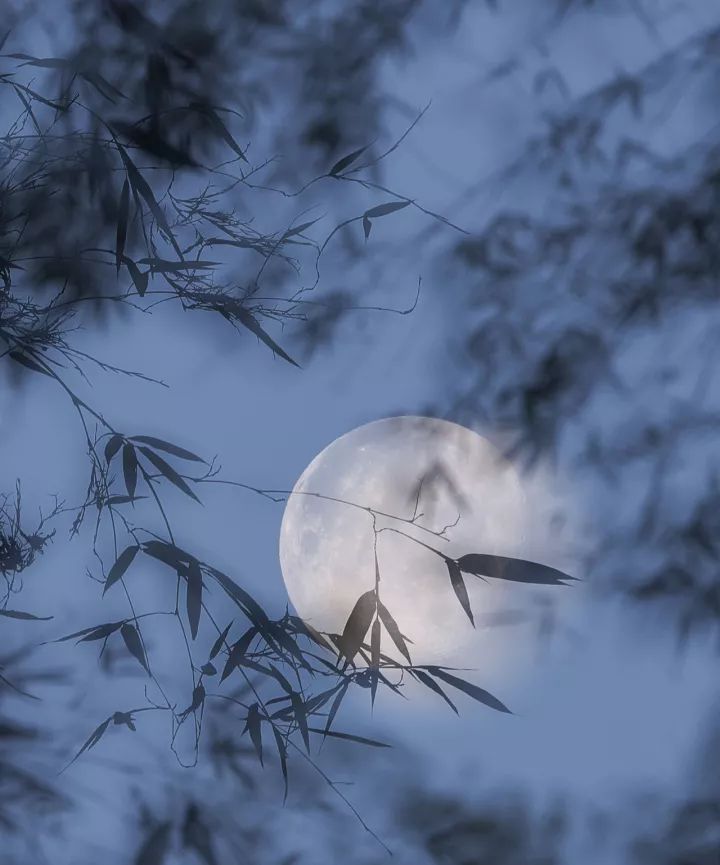 舒眠--《风弄月影摇》水晶般清澈的音符,安神宁心