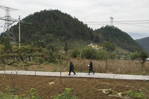 武隆农村人口_武隆仙女山(2)