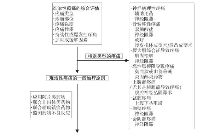 6 难治性癌痛的诊疗流程 难治性癌痛的诊疗涉及疼痛的评估,阿片药物的