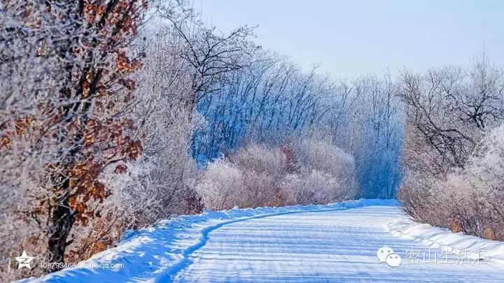 雪后的黑龙江每一帧都美哭了珍藏版图片