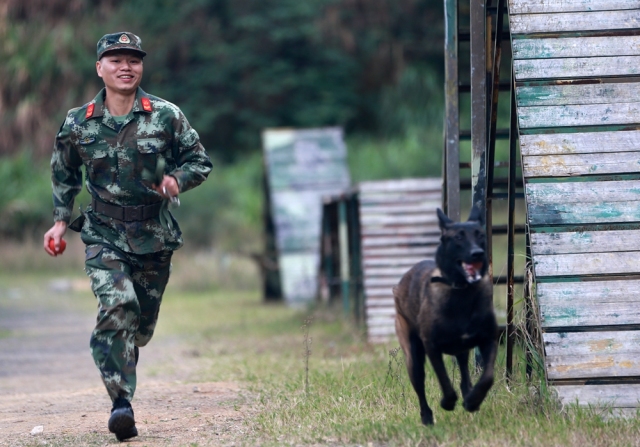 现实版神犬奇兵军犬呼啸来圈粉啦