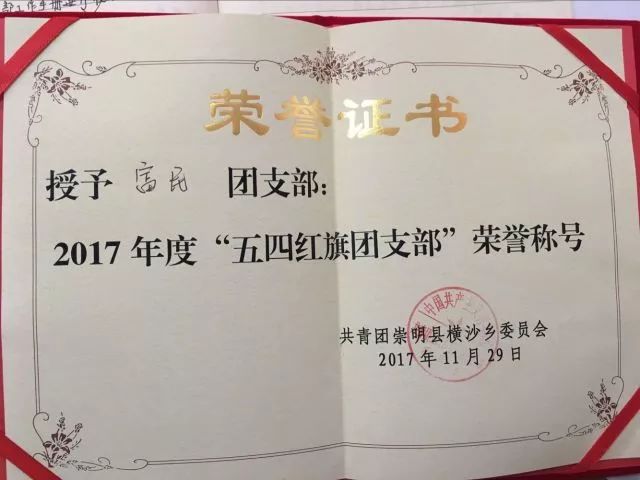 线上线下两手共抓,多彩阵地落地扎根——2017年横沙乡富民村团支部