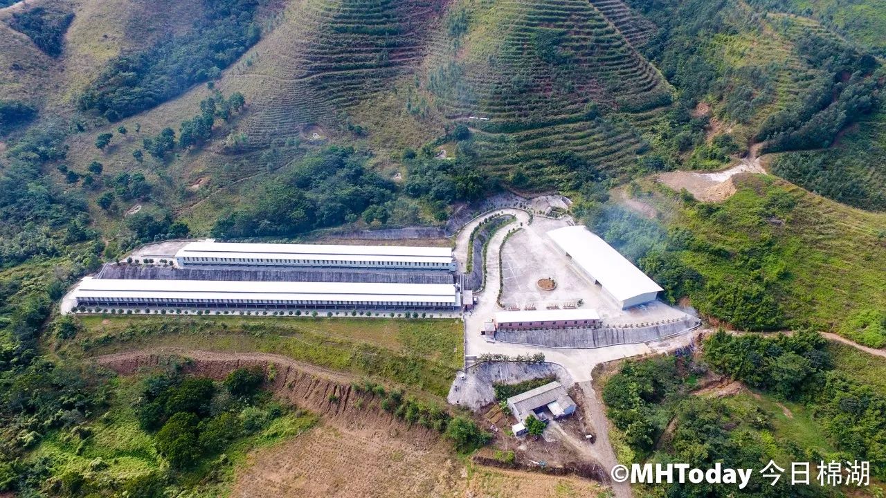 是因为它是采用原生态自养优质黑山羊 赞羊馆拥有自己大型的养殖场