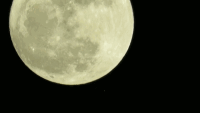 云南的小伙伴们,年度最大满月登场 昨晚,你看到"超级月亮"了吗?