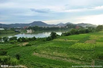 新增人口永不分地_第三节 中国的人口(3)