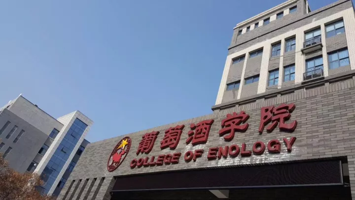 香槟协会王蔚女士受聘为西农葡萄酒学院客座教授