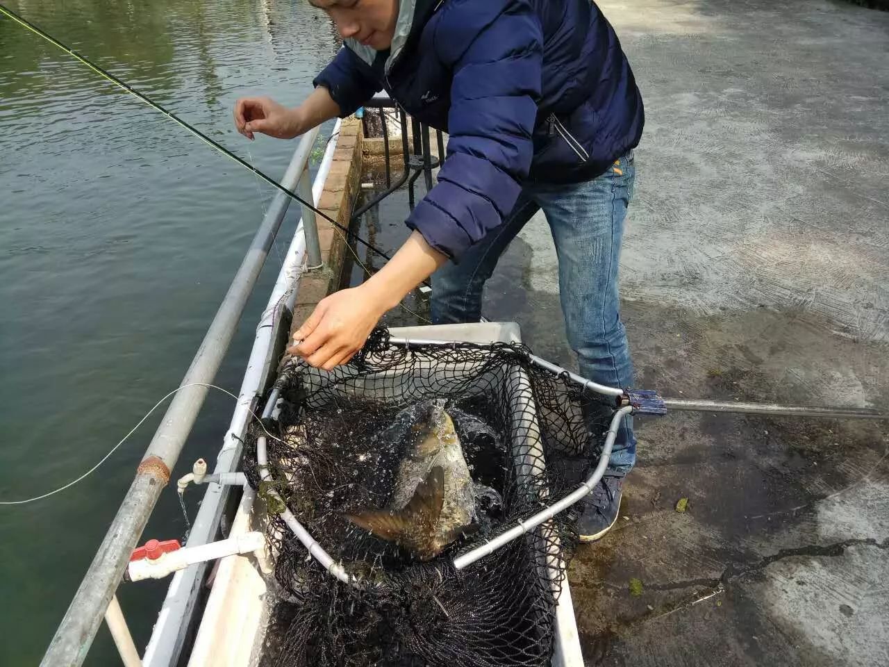 飞蝇钓法运用于溪流之中,那真是得心应手!