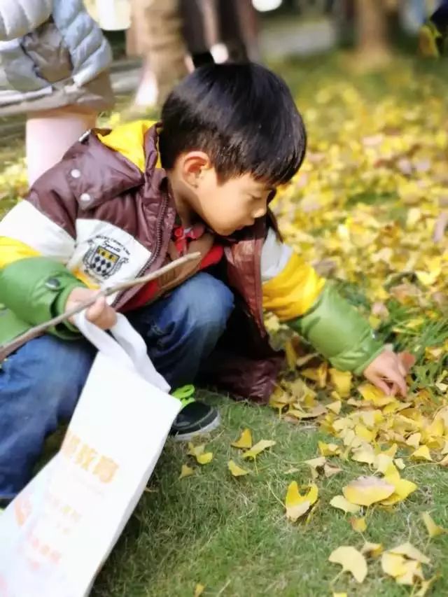 一叶知秋,寻找秋天最后一片落叶 ——徐泾第二幼儿园