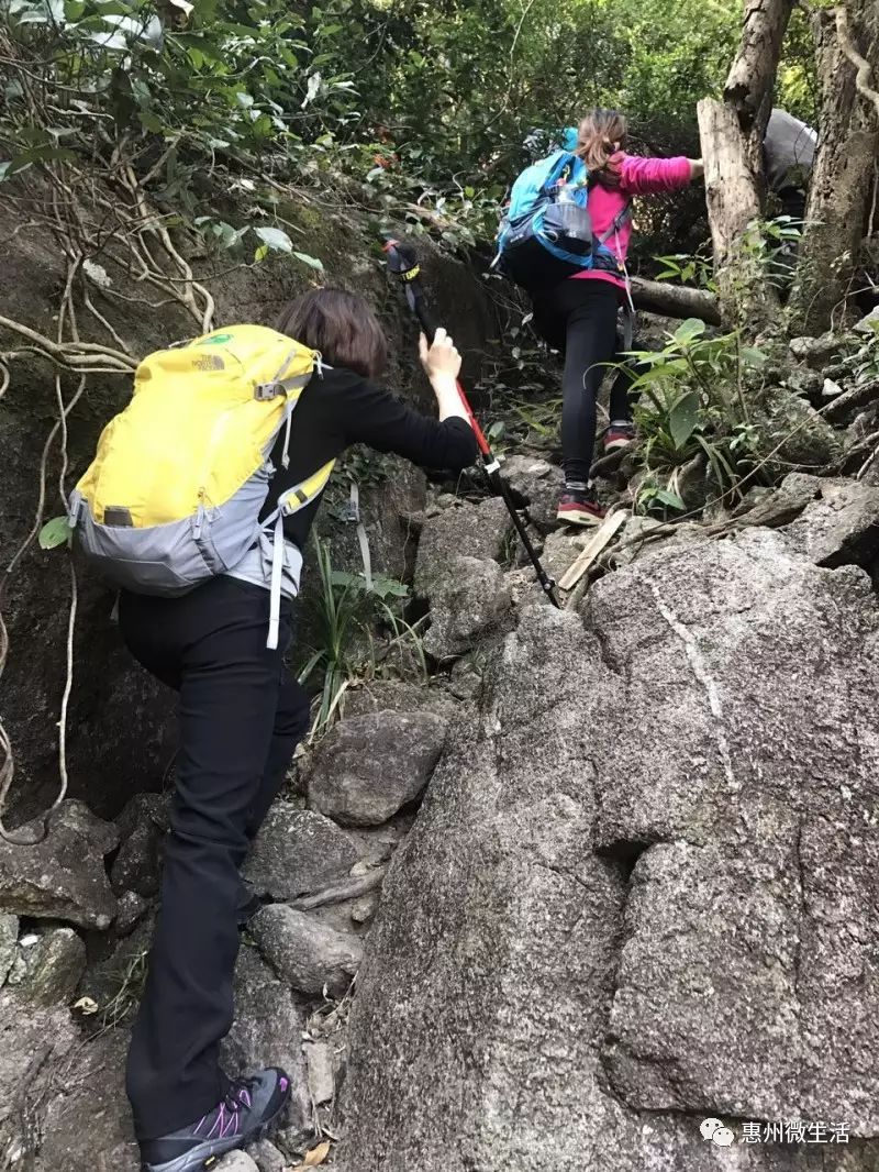 【12月10日周日】仙韵罗浮山,穿越蓬莱阁-拨云寺-飞云顶-罗浮山景区