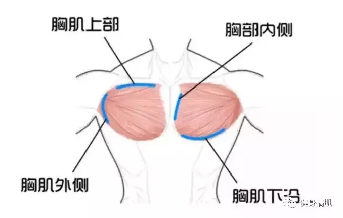 这些动作的发力方向基本是近乎垂直于胸部,恩,从你两手中点给胸做个