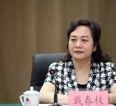 郑州市人力资源和社会保障局党组书记,局长戴春枝接受组织审查.