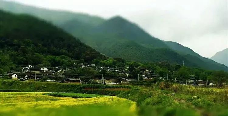 2017维西县丰收文化节暨乡村旅游现场推进会等你来