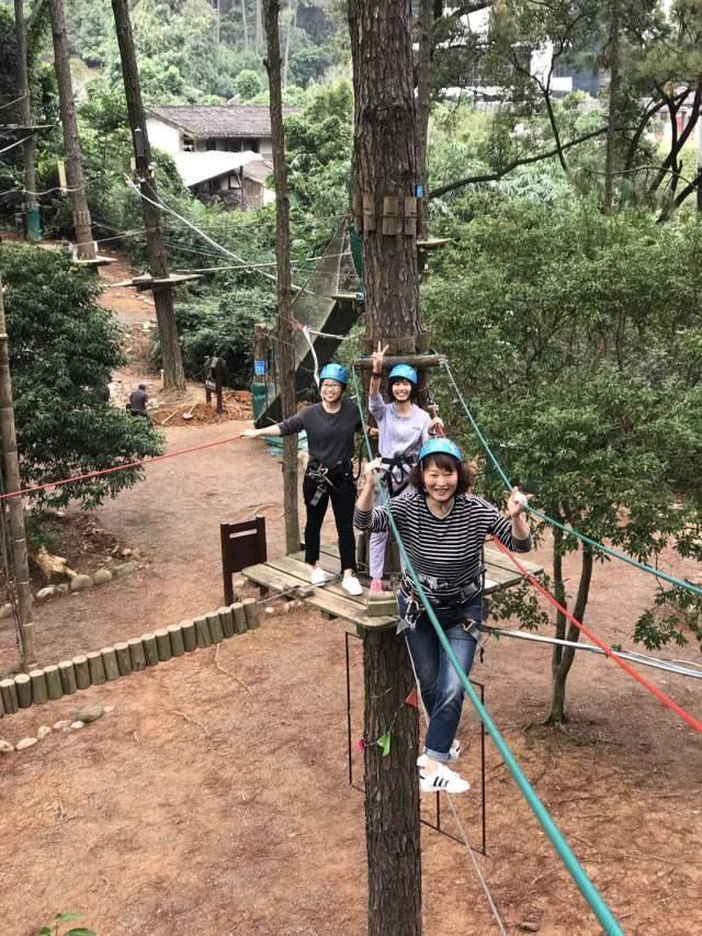 森林营地怎么搭_森林旅居营地