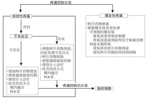 2017肿瘤专家共识:难治性癌痛的诊疗流程和药物治疗