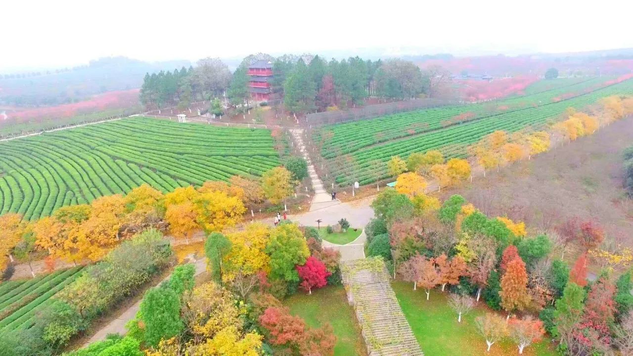 南昌凤凰沟景区,这几天美的不像话了!