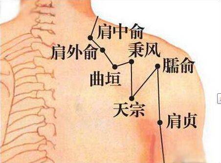 天宗穴是位于肩胛骨正中央的穴道.