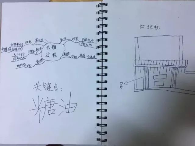 我们真好学除了自己动手做,我们还做了笔记,有的同学还画了思维导图