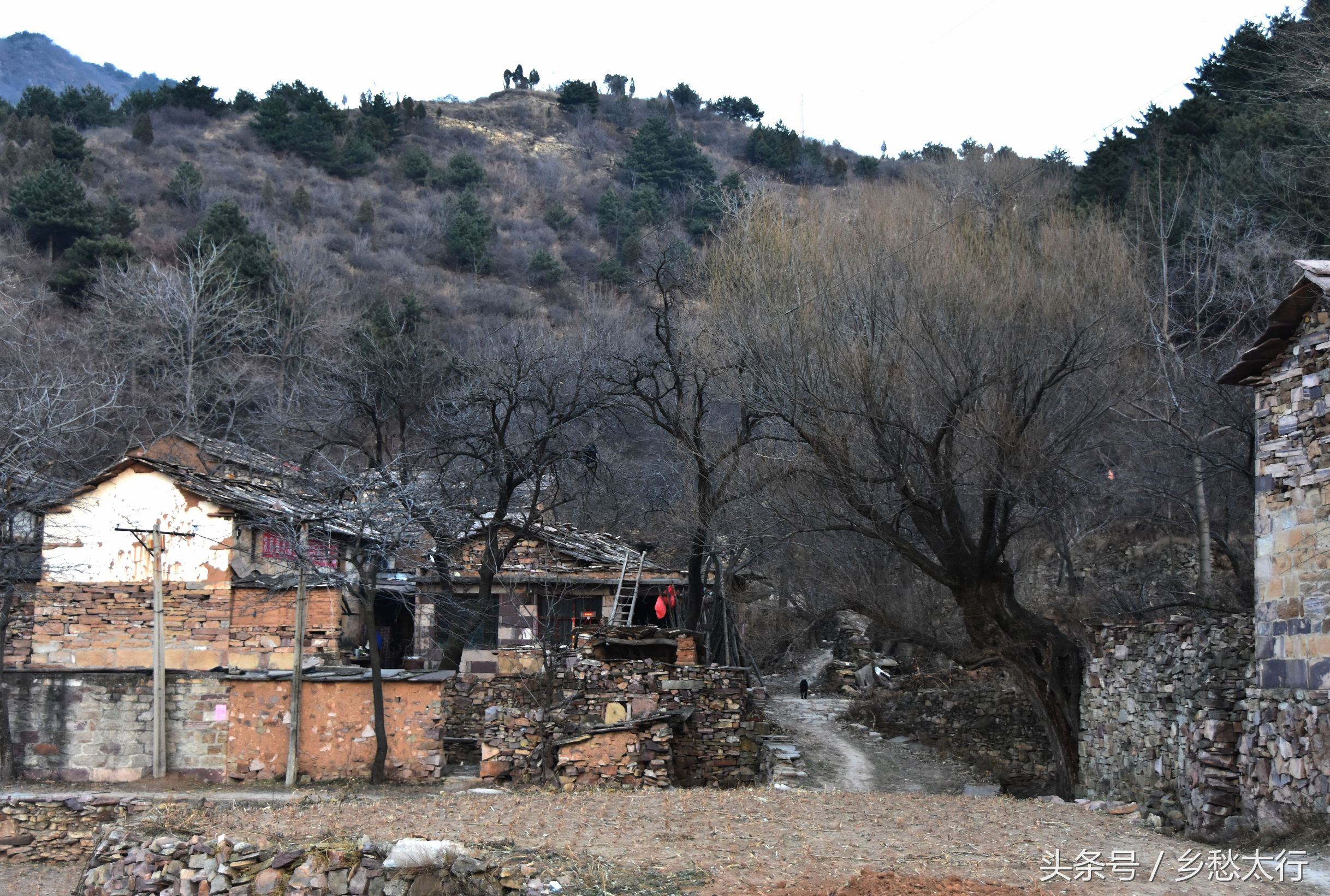 冬日的太行,显得更加空旷寂静,阳光下,山凹里的村庄,仿佛是一座座遗忘