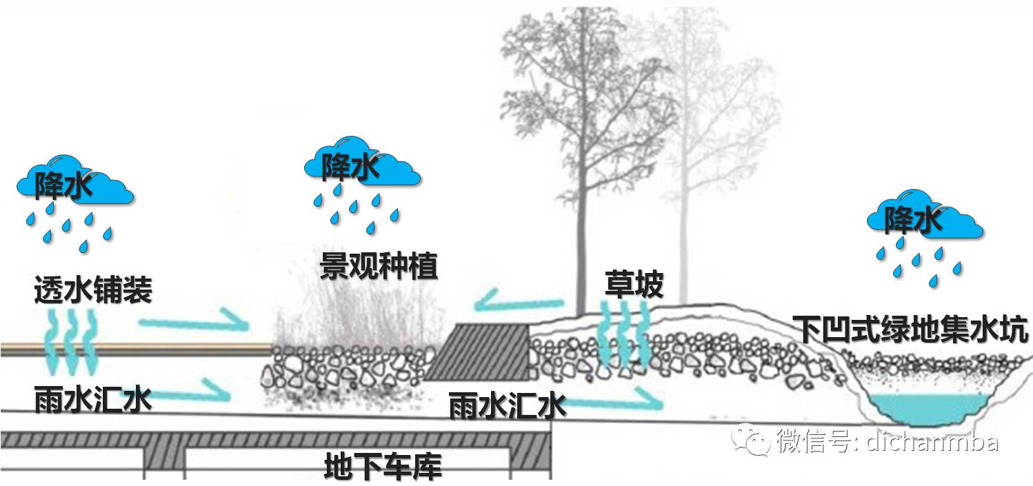 下凹式绿地集水通过草沟等形式收集场地中的径流雨水,当雨水流过地表