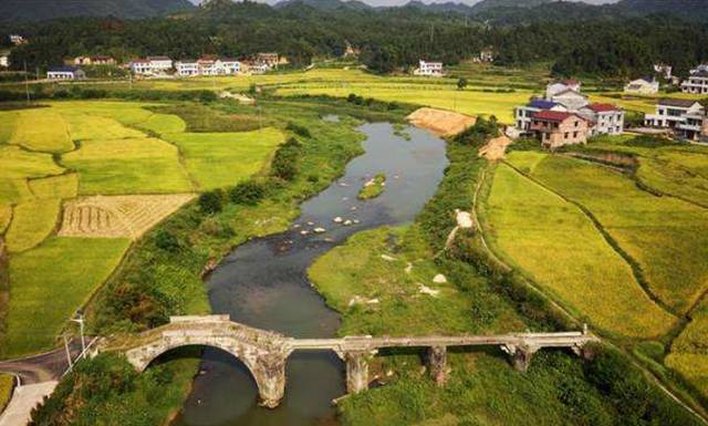 长沙市宁乡市巷子口镇巷市村