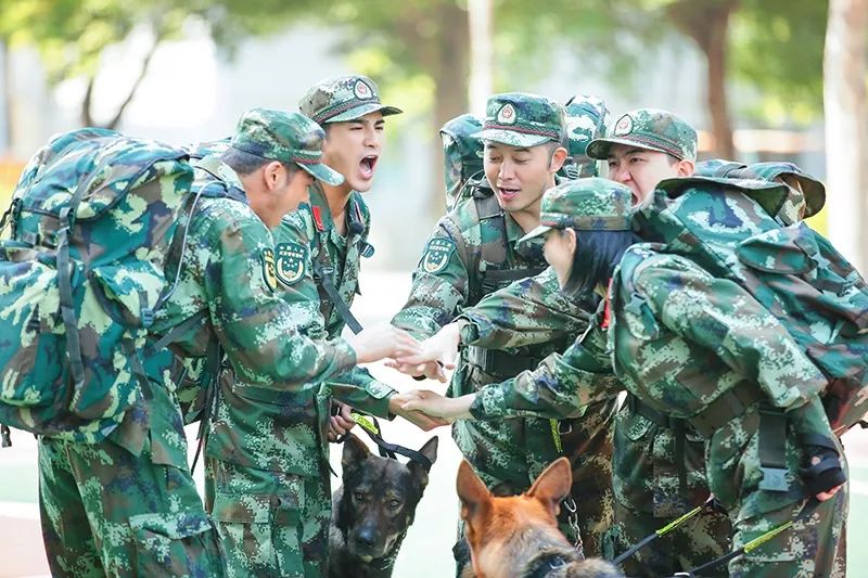 【节目】湖南卫视《奇兵神犬》创新角度聚焦武警群体