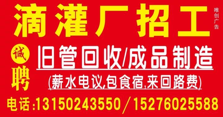 库尔勒招聘信息_库尔勒9月29日招聘 租转 培训 服务 活动 分类信息汇总