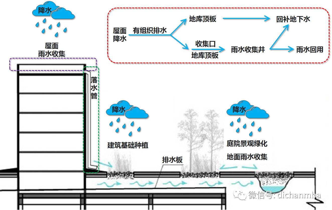 屋面雨水收集树阵雨水就地渗蓄自灌技术系统由雨水收集系统,雨水储存