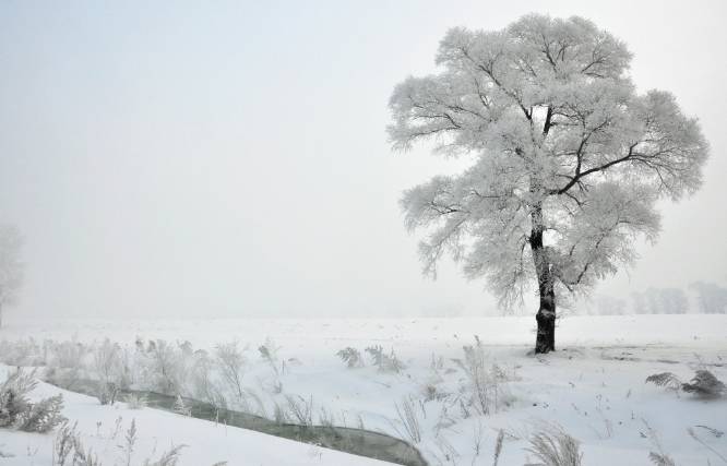 (聆听诗词-对雪(杜甫-那时候的酒是绿颜色的.