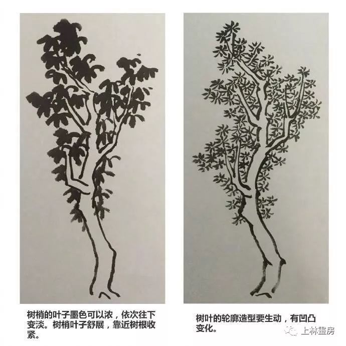 中国画树叶的基本画法