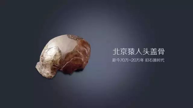 我们今天的故事从这件文物开始: 北京猿人头盖骨.