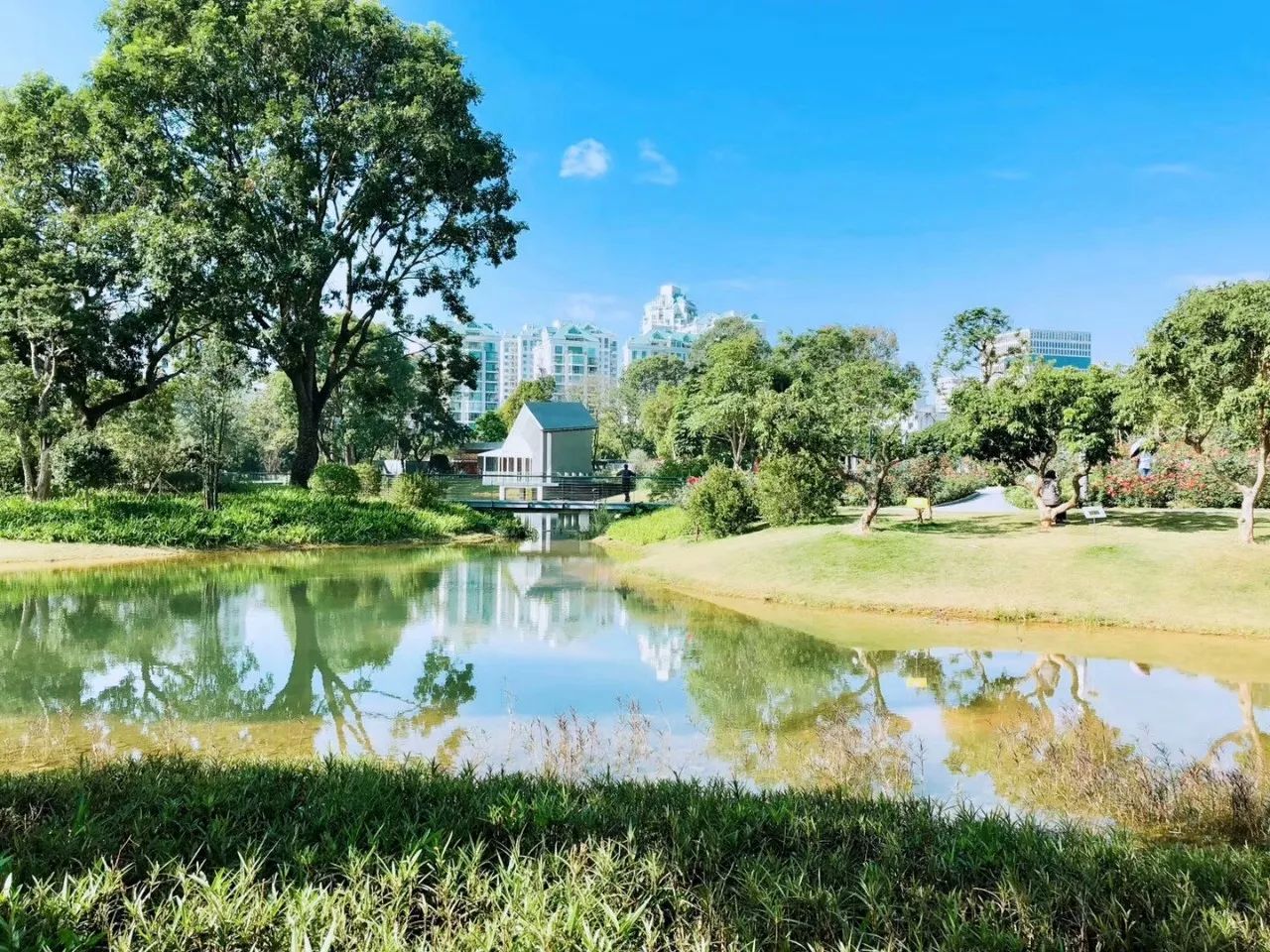 福田区作为深圳市较早建成的中心城区,建成区面积占比位居全市前列