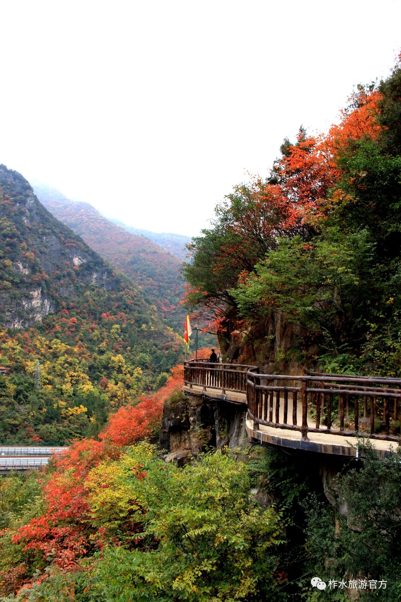 2017中国秦岭生态旅游节系列活动之柞水红叶节暨寻找最美秋色大型摄影