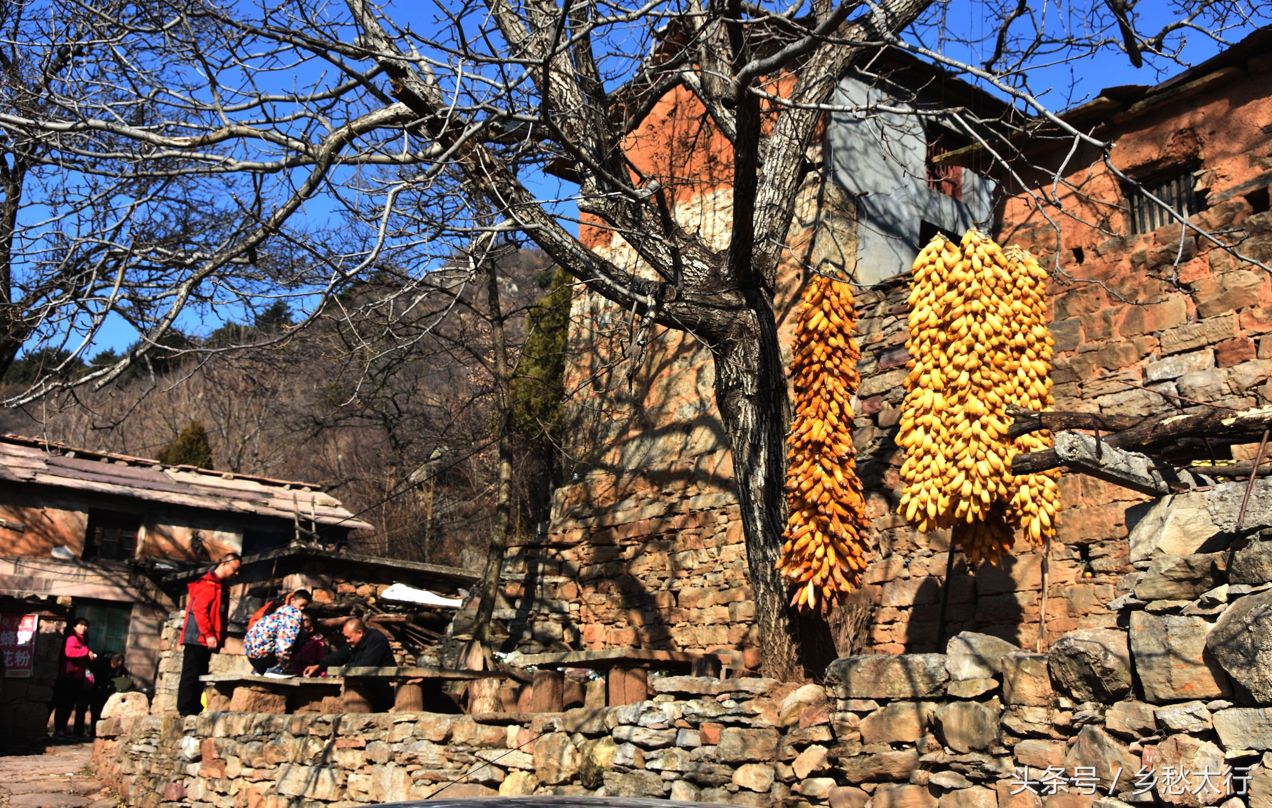 偶尔一群进山旅游的一家,给这个宁静的山村无尽的生机.