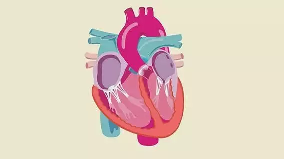 突然心跳加速是什么病?