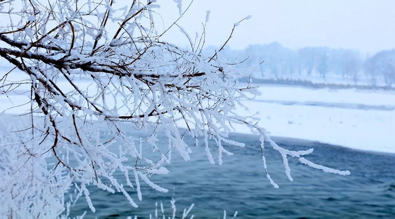 现实版"冰雪奇缘",零下58℃河水不结冰!