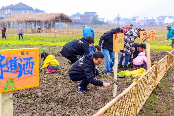 脍炙人口蚂蚁农场_脍炙人口图片(3)