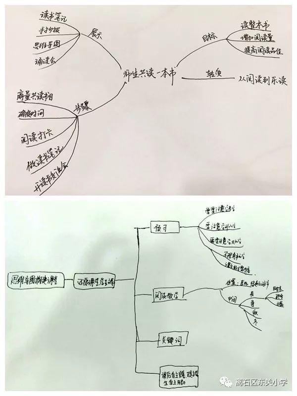 思维导图撬动课堂 发散思维引领成长 ——东关小学开展思维导图应用