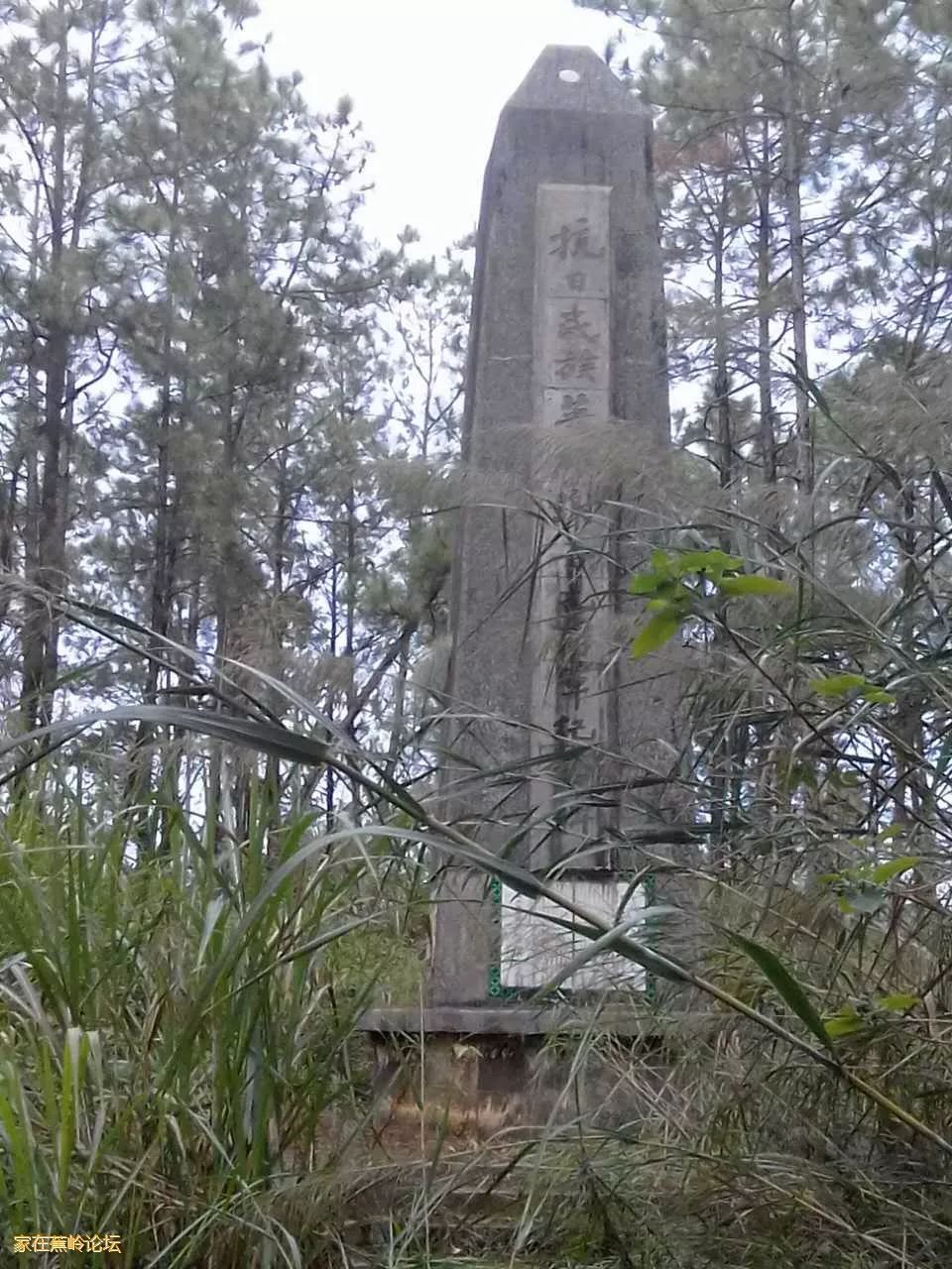 前段时间,《蕉岭民生论坛》转发了新浪微博曾奕涵博客的博文:【谢晋元